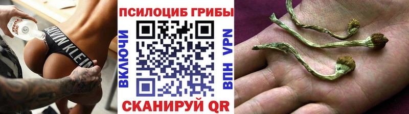 где купить наркоту Онега Псилоцибиновые грибы мухоморы